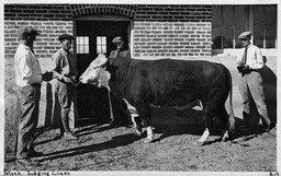 Agricultural students, Stock Judging Class, 1920
