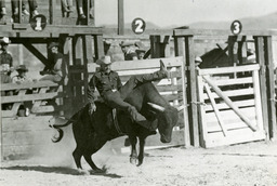 Man riding bull in at Winnemucca rodeo