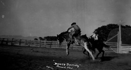 Bronc riding rodeo