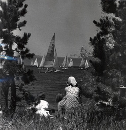 Spectators at sailboat competition