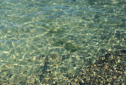 Water quality at South Lake Tahoe, 1965