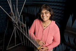 Faculty, Engineering Associate Dean and Professor Indira Chatterjee, 2008