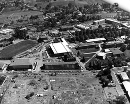 Aerial view of campus, 1962