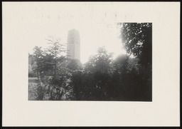 Burton Memorial Tower through trees