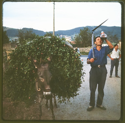 Man drinking from glass wine pitcher standing next to donkey (with no flash)