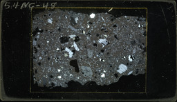 Thin section 54NC48, rhyolite (polarized)