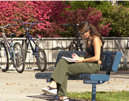 Student reading on campus, 2003