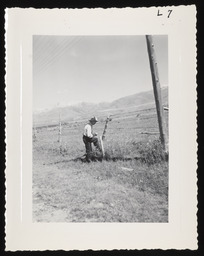 Worker at wire fence, copy 1