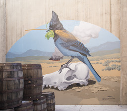 Unknown [Desert, Animal Skull, Blue Jay]