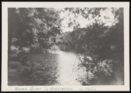 Huron River in Nichols Arboretum