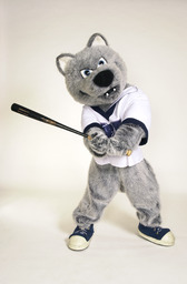 Mascot, Alphie- baseball, 2005