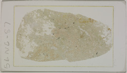 Thin section 56NC87, scheelite in tactite