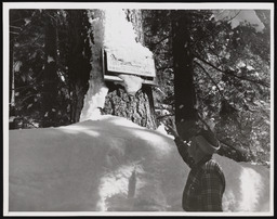 Ernie Mack showing Tahoe snow levels