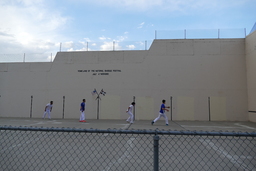 Pelota match 5