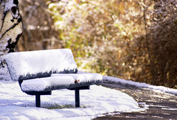 Bench, 2001