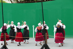 Oinkari female dancers