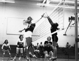 Volleyball game, University of Nevada, 1978