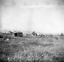 Paiute houses