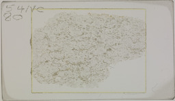 Thin section 54NC80, quartz-sericite schist