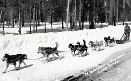 H. Johansson's dogteam, Lake Tahoe