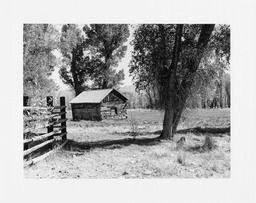 Shed, McMullen Ranch, Jiggs