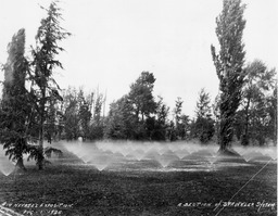 Sprinklers in Idlewild Park, Reno, Nevada, August 1, 1925