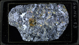 Thin section 56NC83, Sheared biotite quartz monzonite (polarized)