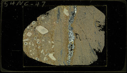 Thin section 54NC47, sapphire-bearing biotite schist (polarized)