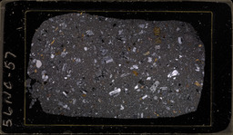 Thin section 56NC57, partly silicified hb biot. dacite tuff (polarized)