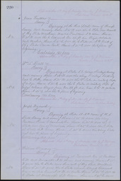 Miscellaneous Book of Records, page 220
