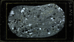 Thin section S56NC5b, crystal vitric tuff, recrystallized (polarized)