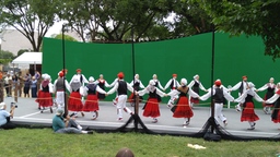 Oinkari dancers holding hands in circle