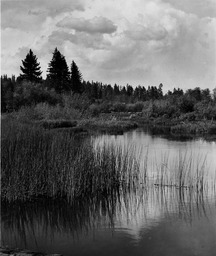 Head of Truckee River