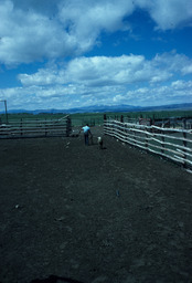 Sheepherder and sheep in pen
