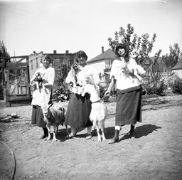 Women posing with goats