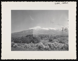 Ruby Range seen from Lee, Nevada, copy 1