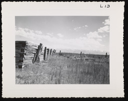 Wooden fence in dry grass valley, copy 1