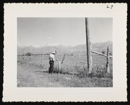 Worker fixing wire fence, copy 2