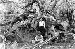 Group of people among mahogany trees