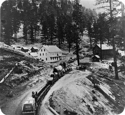 Wagon road near Glenbrook, Lake Tahoe