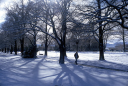 Winter on campus, Quad, 2000