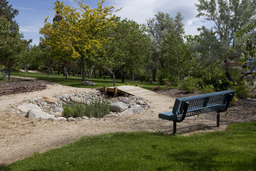 Cherry Blossom Garden, 2010