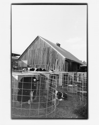 White Barn, Gardnerville