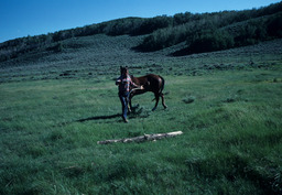 Rancher and Horse