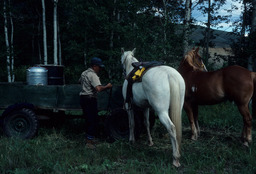 Man and Two Horses Resting