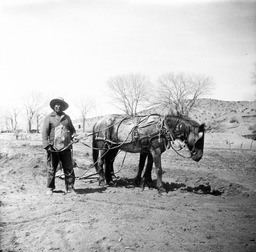 Man in field with horse-drawn plow