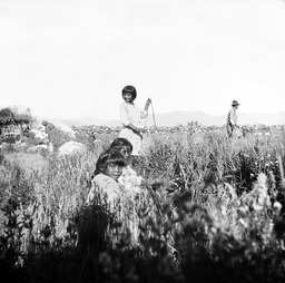Three young girls in field