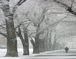Winter on campus, Quad, 2006