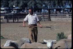 Sheepherder with pitchfork