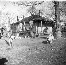 Woman with two men, two dogs, and a house